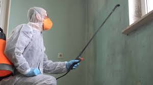 Best Emergency Mold Remediation in Susanville, CA