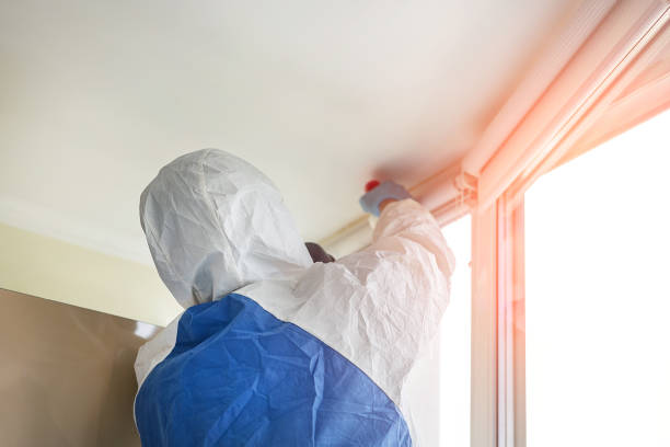 Best Commercial Mold Inspection in Susanville, CA