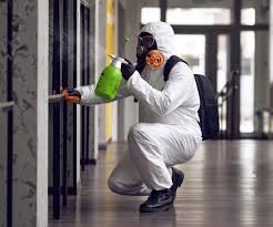 Best Mold Removal for HVAC Installations in Susanville, CA